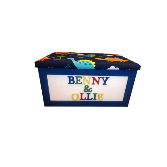 Personalised Children's Sibling Toy Box - Names only